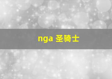 nga 圣骑士